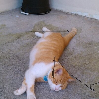 Profile Picture of ABE TONEY THOMAS (@ABETONEYTHOMAS) on Twitter