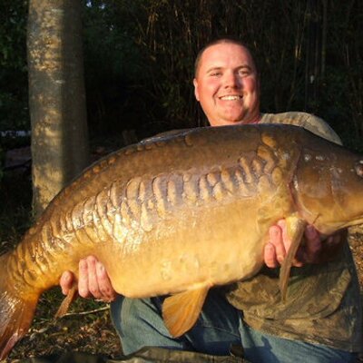 Profile Picture of David Stobbs (@daicarp1) on Twitter