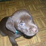 Profile Picture of Jacob Harter (@jacob.harter) on Instagram