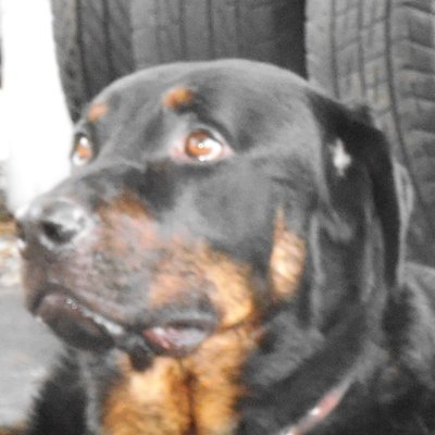 Profile Picture of William Szymanski (@billskimusic) on Twitter