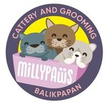 Profile Picture of scottish dan british short hair balikpapan (@millipaws.cattery) on Instagram