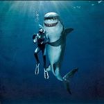Profile Picture of Ruthswiftie (@ruthstyles_kj) on Instagram