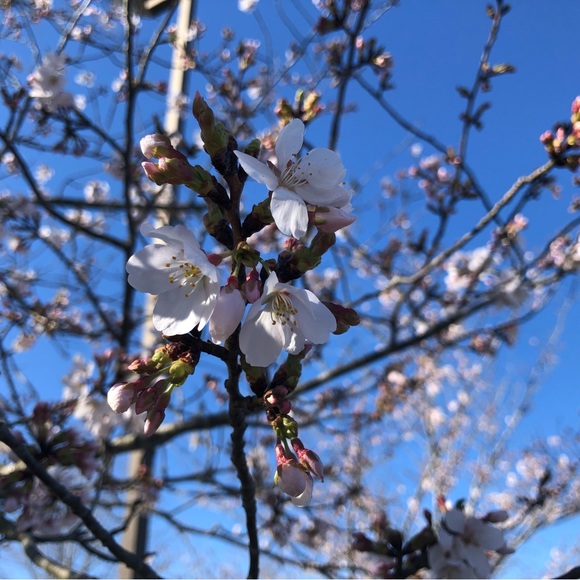 Profile Picture of Ava Herring (@avaa_mh) on Poshmark