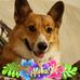 Profile Picture of David Inouye (@david.inouye.146) on Facebook