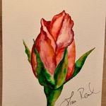 Profile Picture of Lisa Read (@crystalized_dreams78) on Instagram