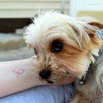 Profile Picture of Tasha Patterson (@missgracey14) on Instagram