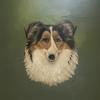 Profile Picture of jimmyhaney (@jimmyhaney) on Tiktok