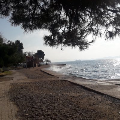 Profile Picture of Zagić (@zagi86540009) on Twitter