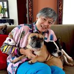 Profile Picture of Robert Wong (@robertwong95) on Instagram