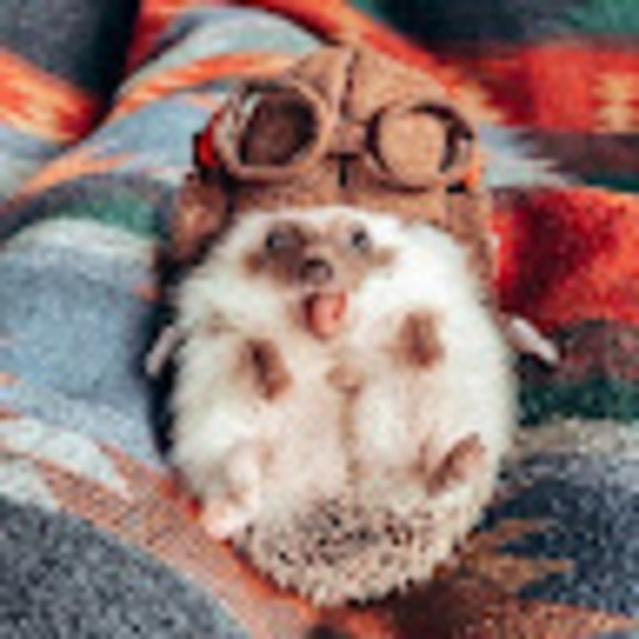 Profile Picture of Lylla Lisle (@lylla42lisle) on Poshmark