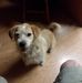 Profile Picture of Eric Burkhart (@eric.burkhart.311) on Facebook