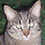 Profile Picture of Anne And Joe Blommel (@jcblums) on Flickr