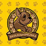skolkapropejskacz - Instagram Profile Picture of skolkapropejskacz (@skolkapropejskacz) on Instagram