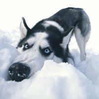 Profile Picture of Casey Colwell (@casey-colwell-2) on Quora