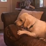 Profile Picture of Cory Troiano (@Cory-Troiano) on Facebook