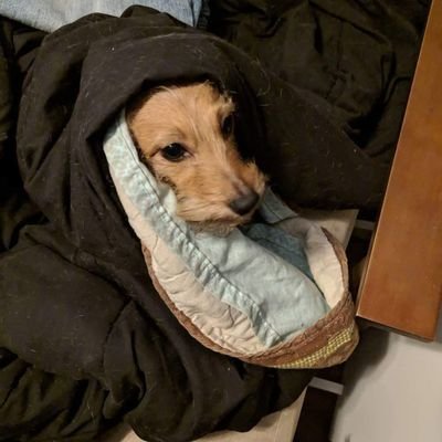 Profile Picture of John Mikelson (@JohnMikelson1) on Twitter