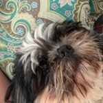 Profile Picture of Bryan Lora (@bryan30.lora) on Instagram