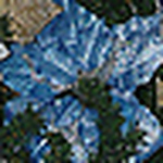 Profile Picture of Antonio Guzman (@antoniolp490) on Flickr