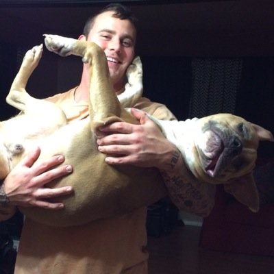 Profile Picture of Adam Gibson (@Adamgibby_91) on Twitter