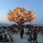 Profile Picture of Mark Dewitt (@maxhostile) on Instagram