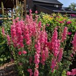 Profile Picture of Kate Gillis (@gillis1065) on Instagram