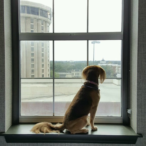 Profile Picture of Mackenzie Bledsaw (@youmack123) on Poshmark