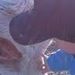 Profile Picture of Peter Hargrave (@doubledolloppeter2) on Pinterest