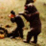 Profile Picture of Sam  D. (@dream.logic) on Flickr