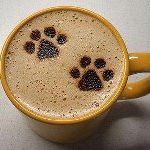 Profile Picture of Joanne Pohlman (@jmpohlma) on Pinterest