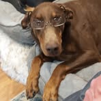 Profile Picture of Paul Huxley (@Paul-Huxley) on Facebook