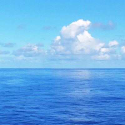 Profile Picture of Andrew Patenaude (@OceanFrontNews1) on Twitter
