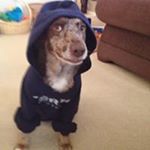 Profile Picture of Hayden Falkner (@falknerhayden) on Instagram