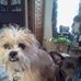 Profile Picture of Kim Jakubowski (@kim.jakubowski.54) on Facebook