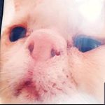 Profile Picture of Matt rawlings (@akmattr0) on Instagram
