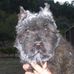 Profile Picture of Roberta Scott (@roberta.scott.988) on Facebook