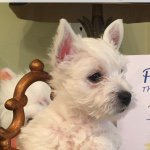 Profile Picture of Barbara Mock (@barb_mock) on Instagram