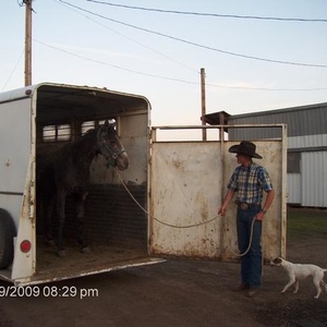 Profile Picture of Grayson Frederick (@grady1986) on Myspace