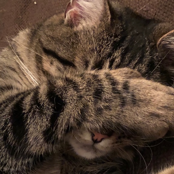 Profile Picture of Alyssa Mcgrath (@alyssmc) on Poshmark