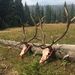 Profile Picture of Jonathan Hostetler (@c953xl) on Pinterest