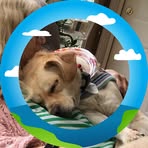 Profile Picture of Nancy Thompson Strack (@nancy.thompson.strack) on Facebook