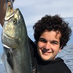 Profile Picture of Andrew Tarnoff (@andrew_tarnoff) on Instagram