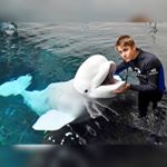 Profile Picture of ☯️Agaran🥇Parithi🌞 (@_.justin_jack_frost._) on Instagram