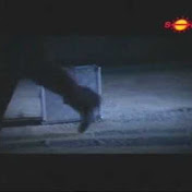 Profile Picture of Jordi Torras (@Correvaca) on Youtube