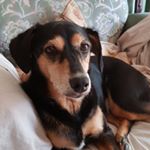 Profile Picture of Colin Waldron (@waldron.colin) on Instagram