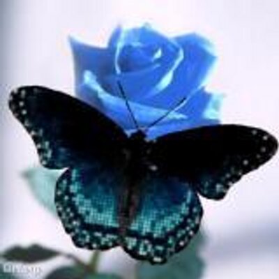 Profile Picture of Michelle Leppert (@leppertmichelle) on Twitter