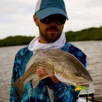 Profile Picture of Steve Baird (@baird2606) on Pinterest