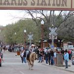 Profile Picture of Michelle Wiley (@rodeogirl1991) on Instagram
