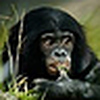 Profile Picture of rawheiser (@rawheiser) on Flickr