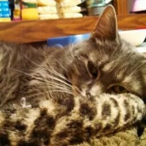 Profile Picture of laurie mcdaniel (@laurie.mcdaniel) on Tiktok