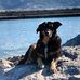 Profile Picture of Hans Schenk (@Hans-Schenk) on Facebook